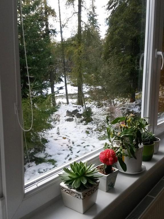 Celik Family Apartment Strbske Pleso Luaran gambar